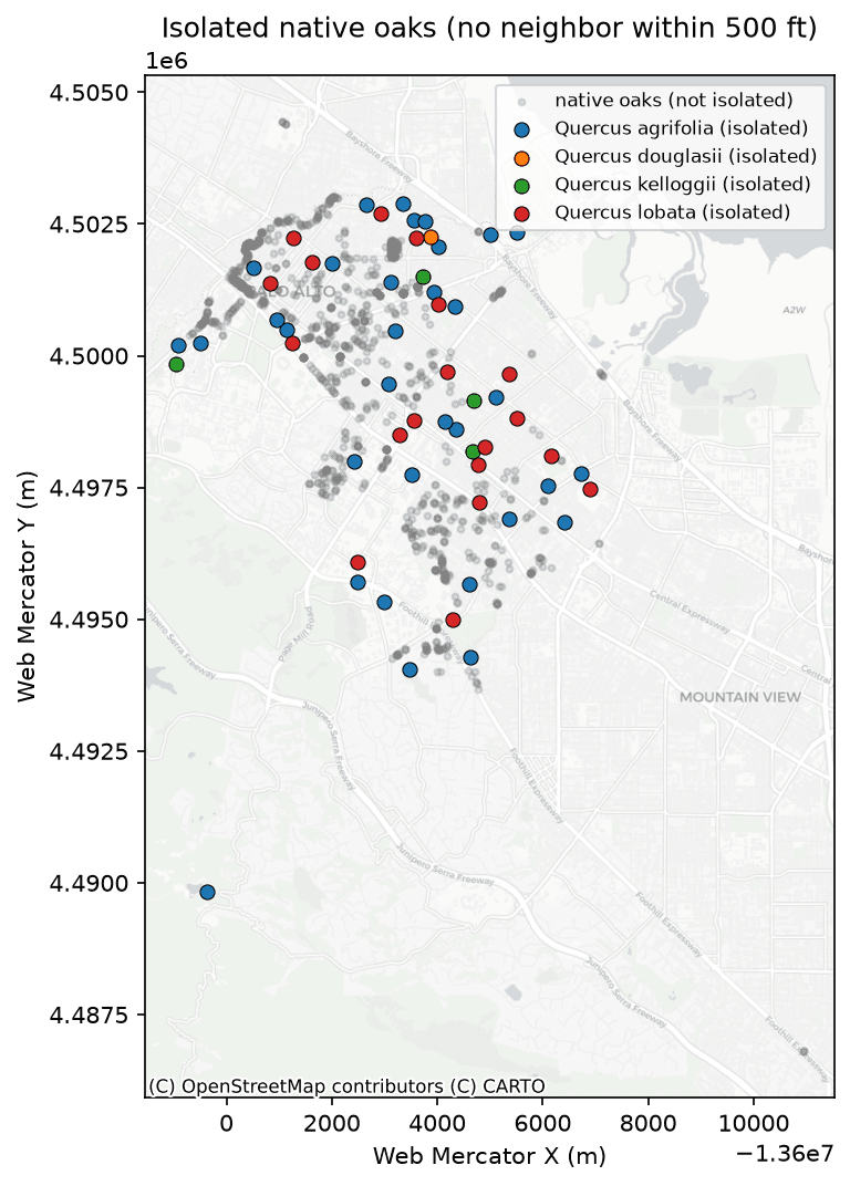 Map of isolated native oak trees in Palo Alto