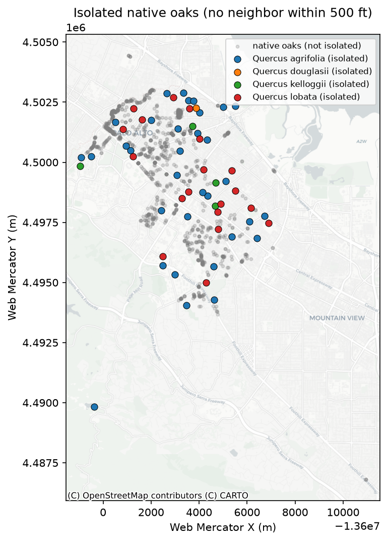 Map of isolated native oak trees in Palo Alto